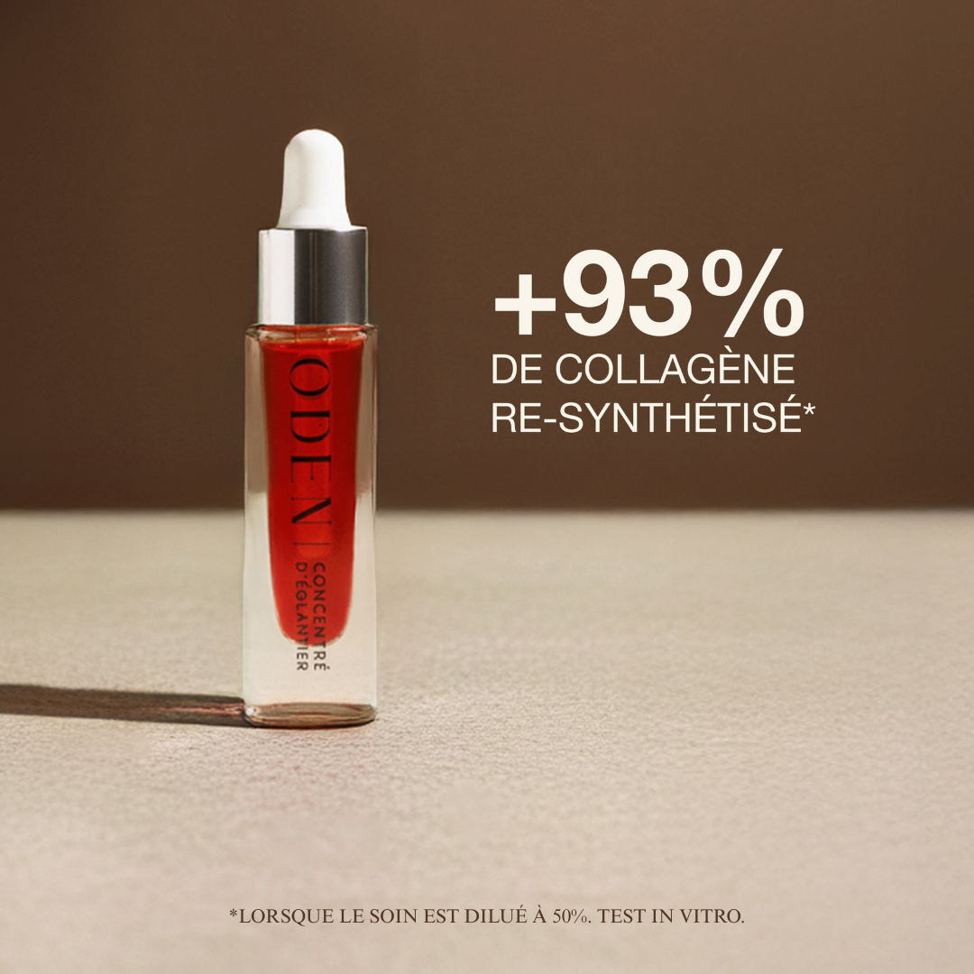 Concentré d'églantier - 6 ml
