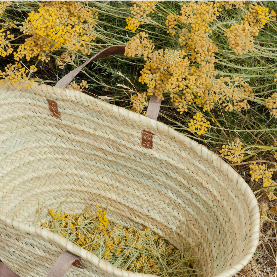 Le Rituel d'Immortelle